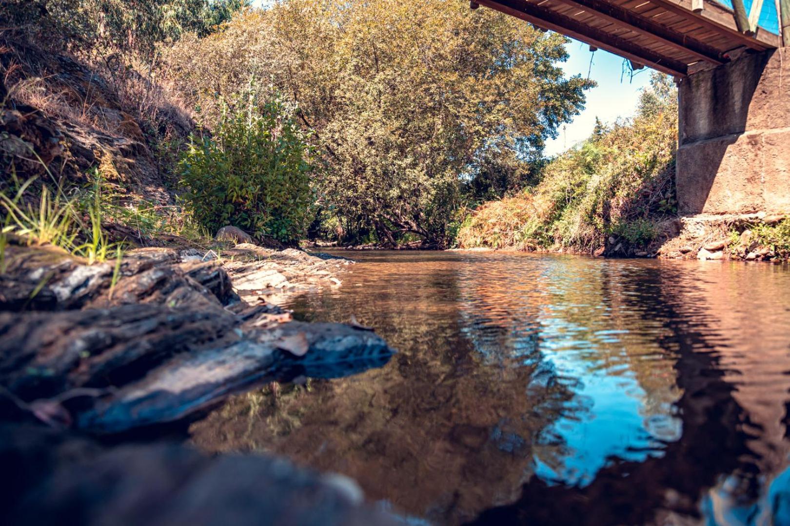 Moinho De Palma De Naturalegre Alegrete Exteriér fotografie